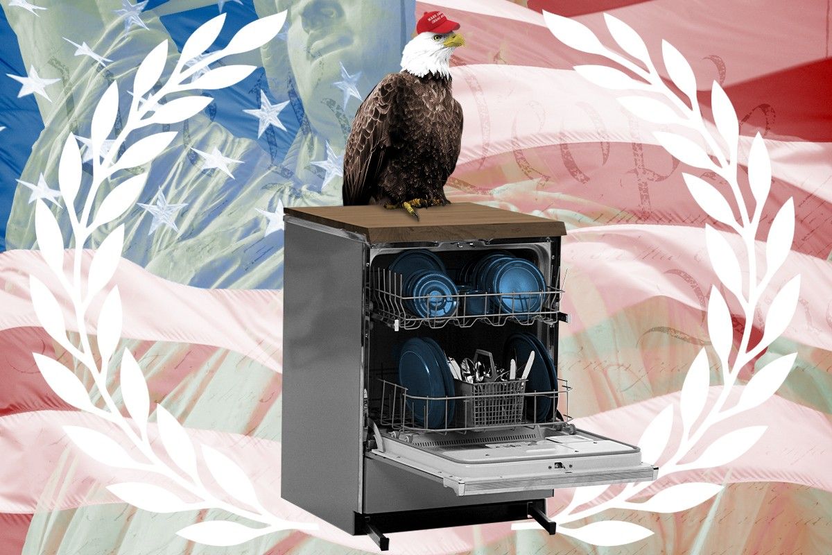 A dishwasher and American iconography.